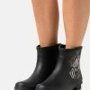 Anna Field Botas De Agua - Black, Mujer -ANNA FIELD Ventas 04accbece31141e8bf0a71888ac43379